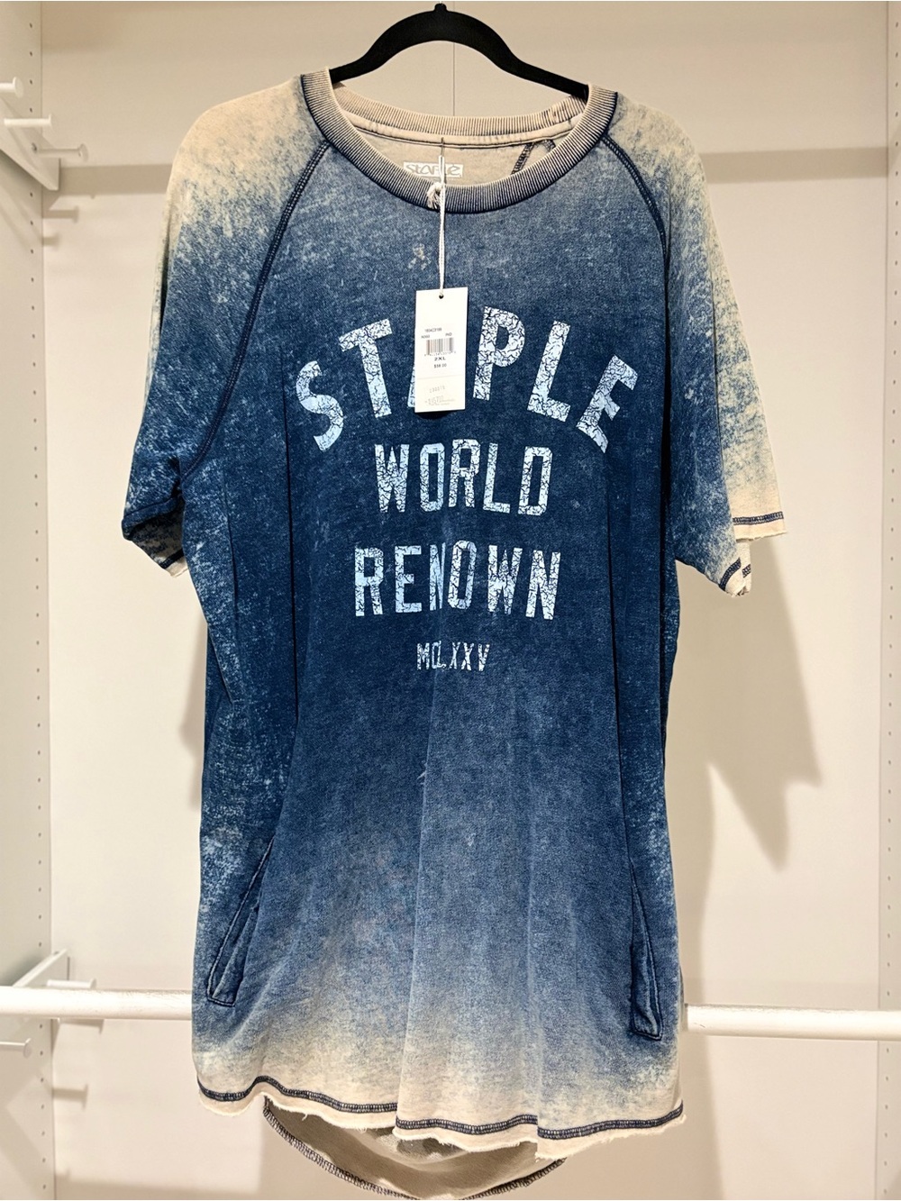Staple Men’s XXL Blue Ombre 'World Renown' Graphic Tee NWT